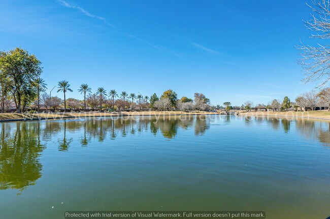 Building Photo - 4 bedroom Casa Grande home