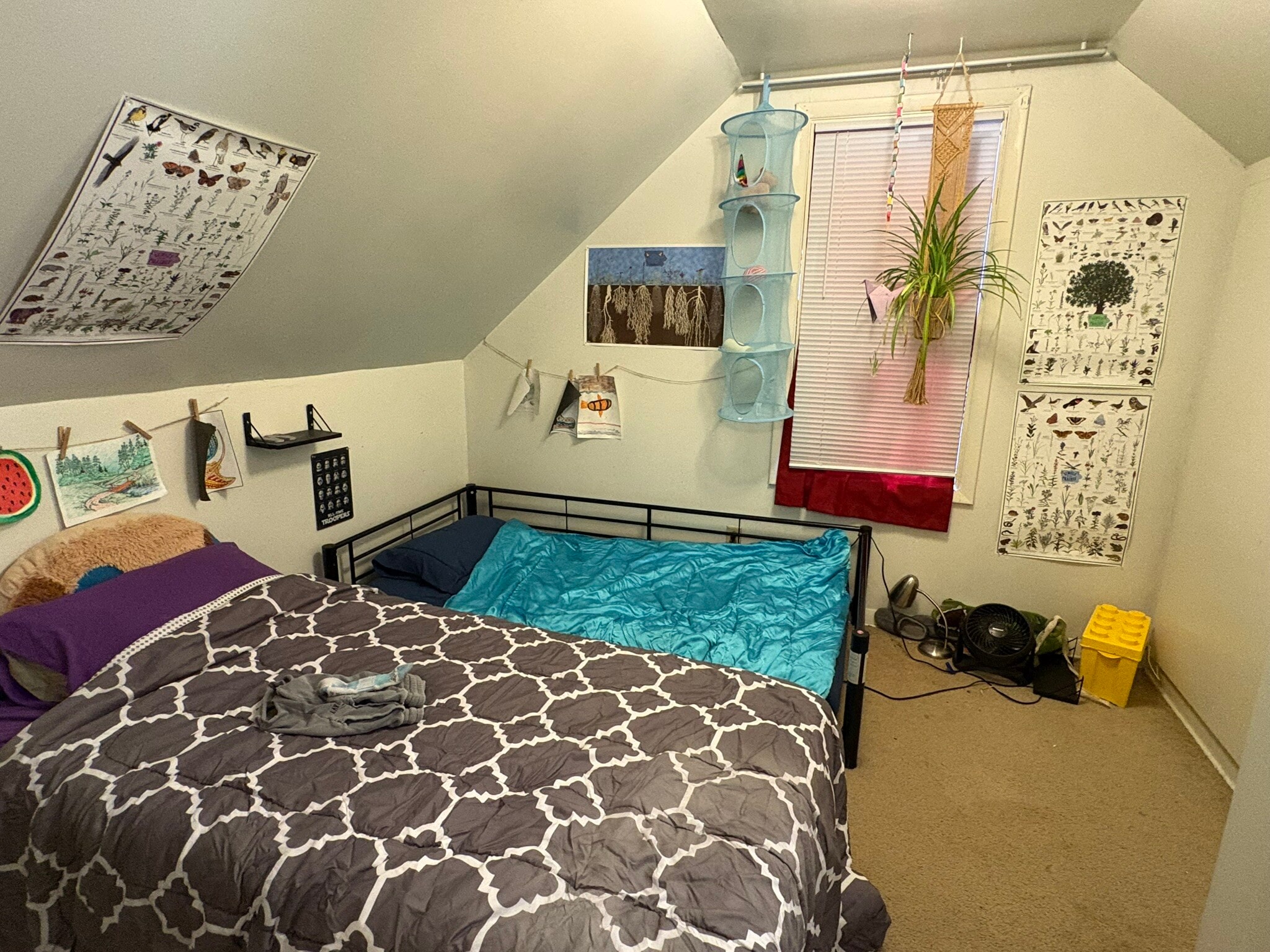 Building Photo - 837 Otto St