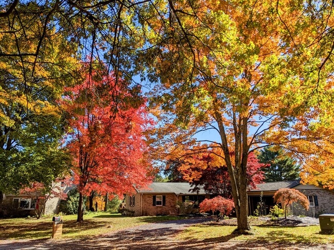 Building Photo - 18 Cricklewood Cir