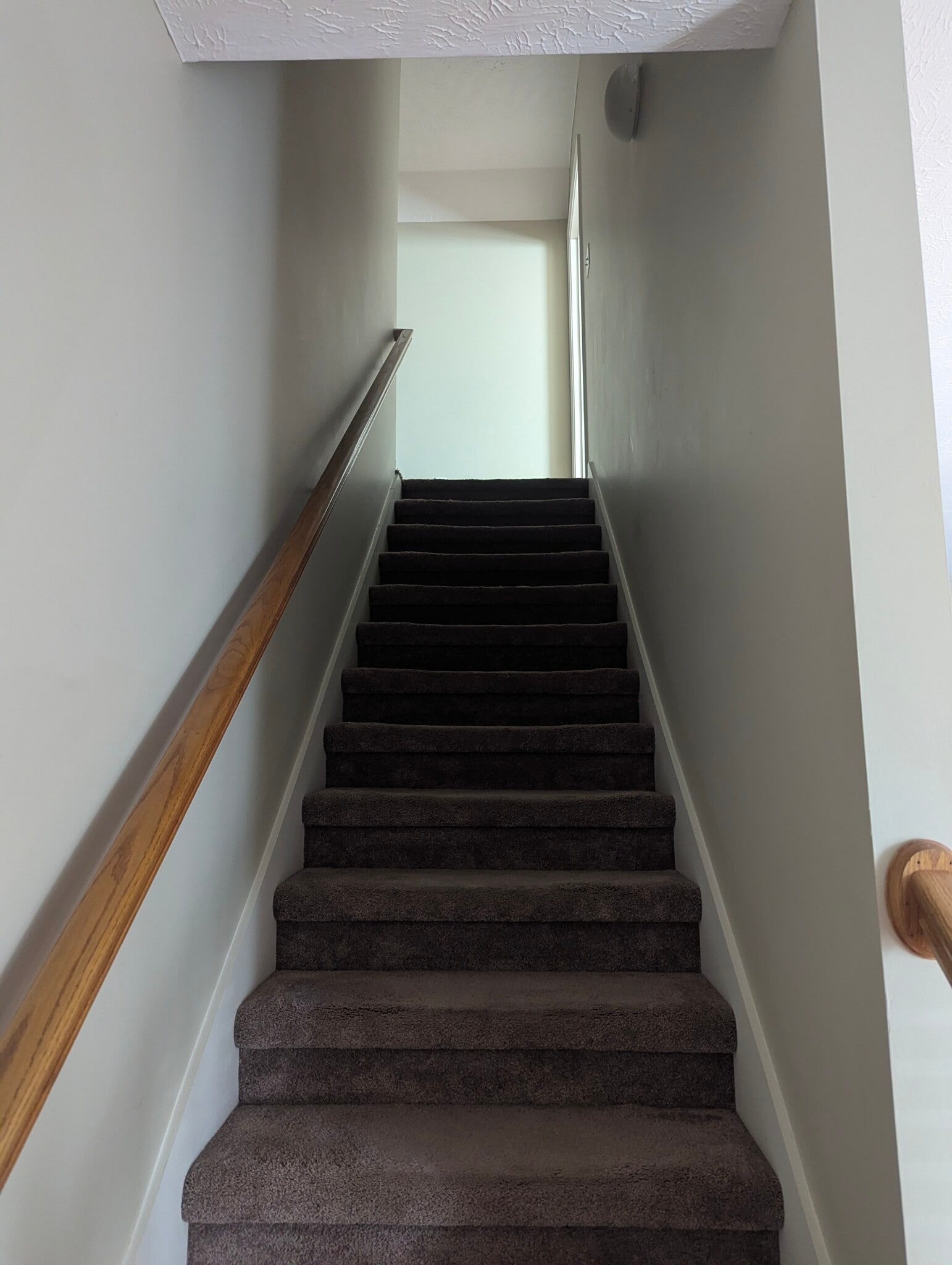 Stairs - 2480 Oak Hill Dr