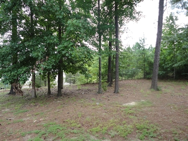 Building Photo - 5409 Tanglewood Pine Ln