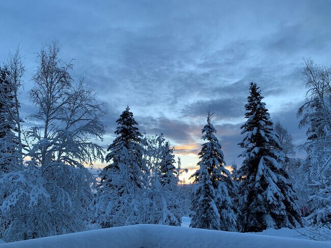 Building Photo - 2279 Franklin St