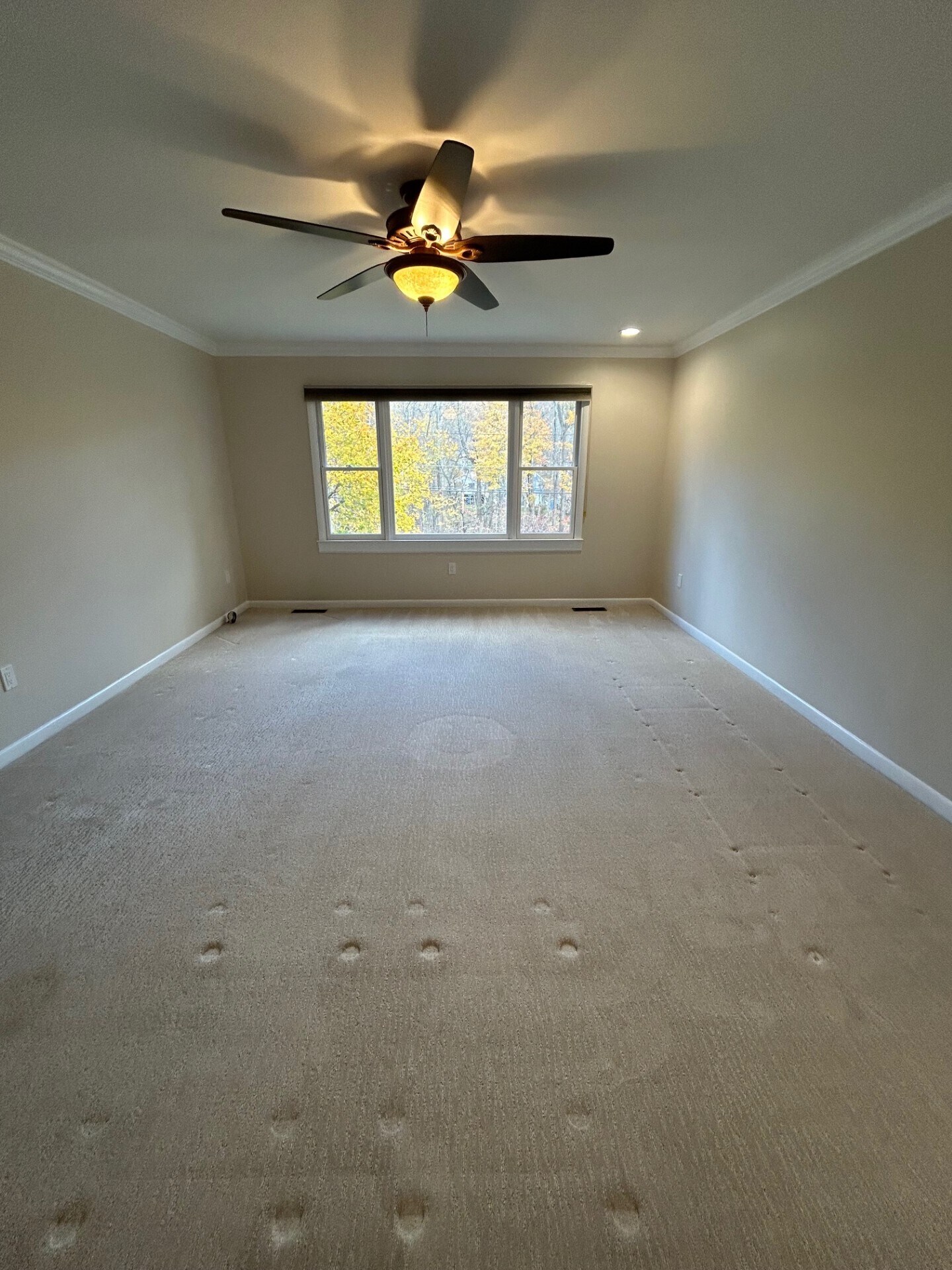 Living room - 15 Old Village Ln