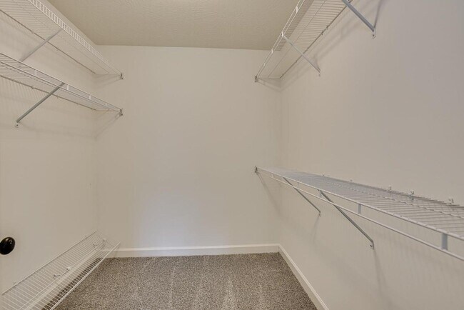 Building Photo - 233 Carlow Dr
