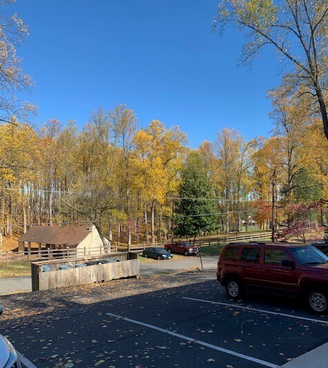 Building Photo - 316 Newton St