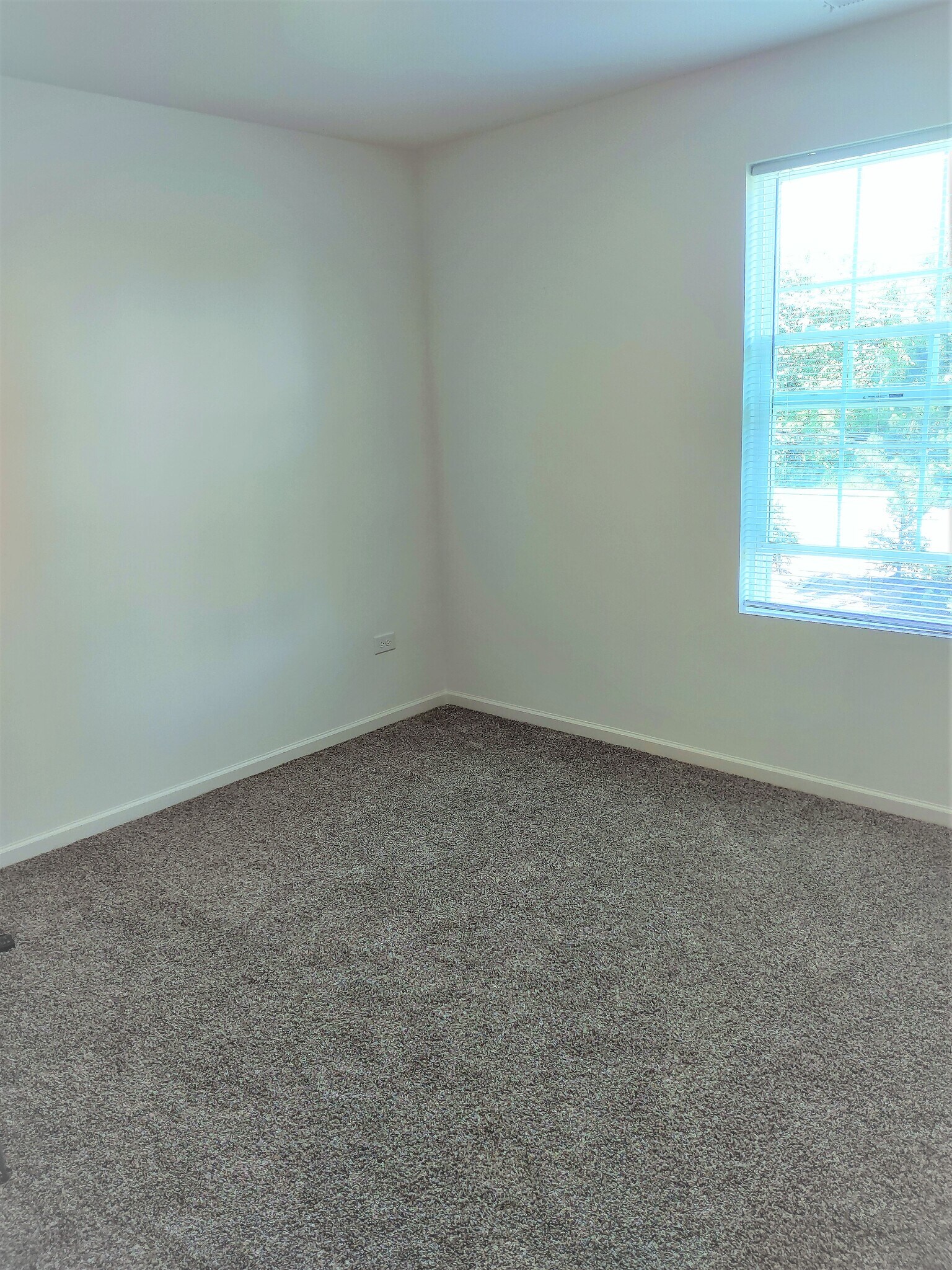 Building Photo - 1925 Turtle Creek Ct