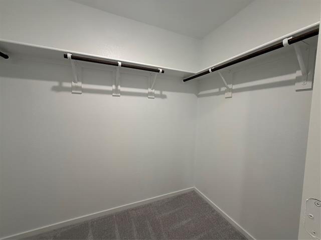 Building Photo - 2524 Guineas Ln
