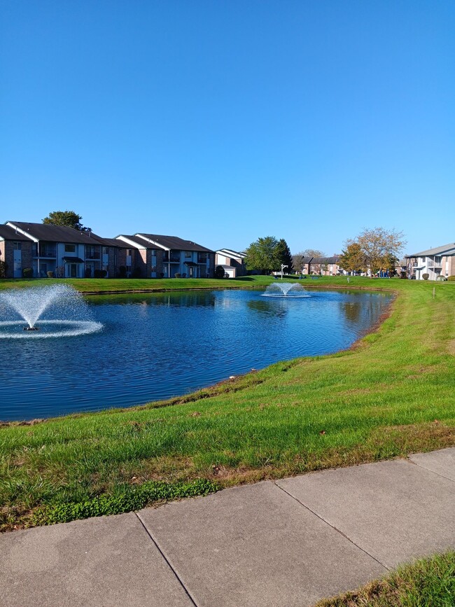Building Photo - Beautiful 2 bedroom 2 bath apartment