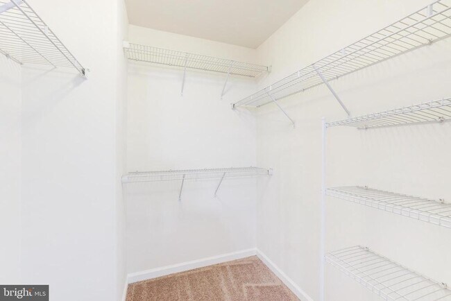 Building Photo - 25767 Double Bridle Terrace