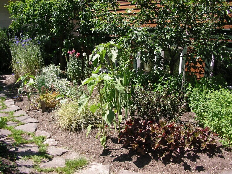 Garden - 106 NW 56th St