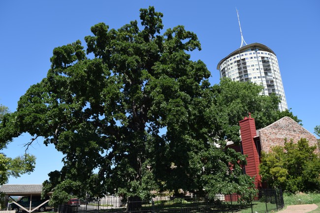 Building Photo - 1735 S Cheyenne Ave