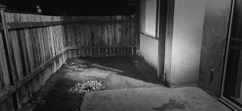 Building Photo - 2200 Royale Rd