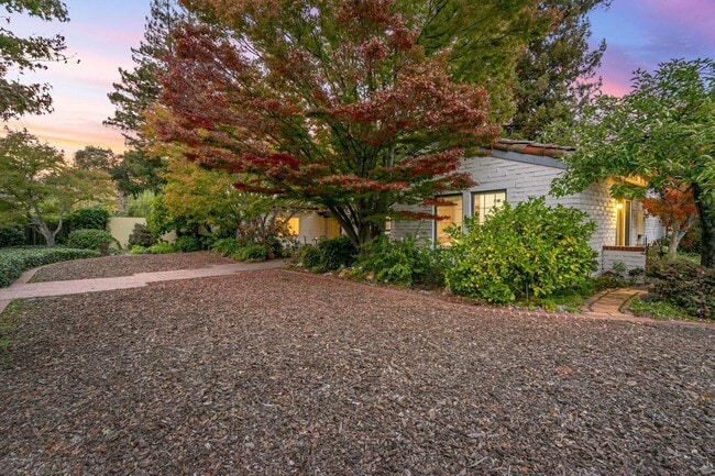 Building Photo - 3691 Laguna Ave