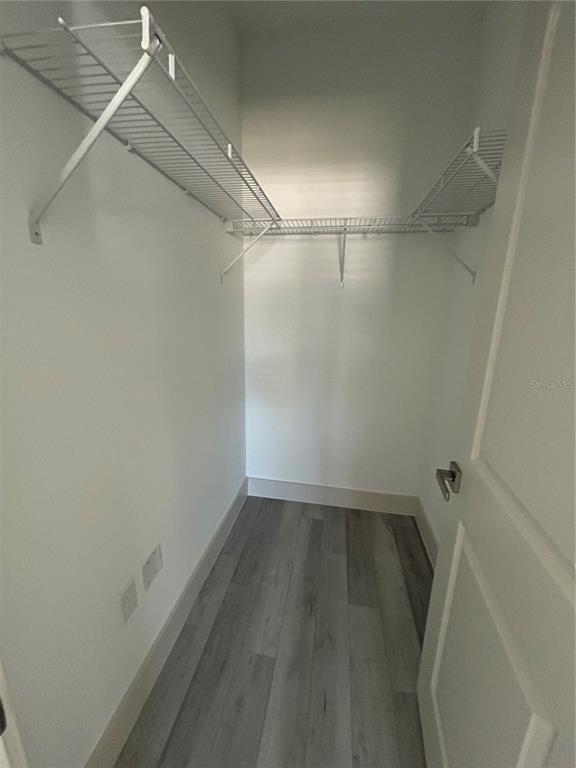 Building Photo - 1531 W Gainsboro Ln