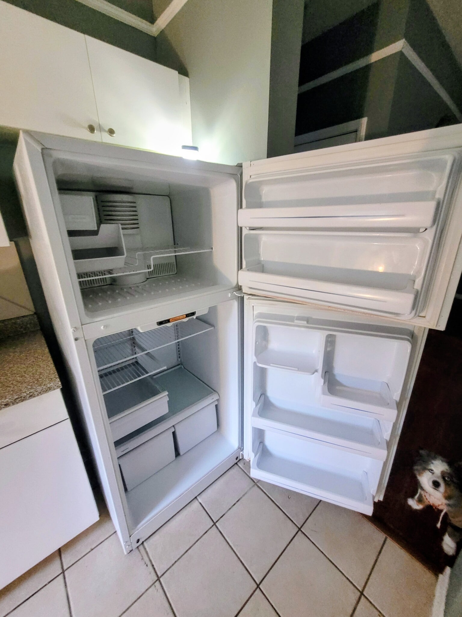 Fridge - 2223 Egret Crest Ln