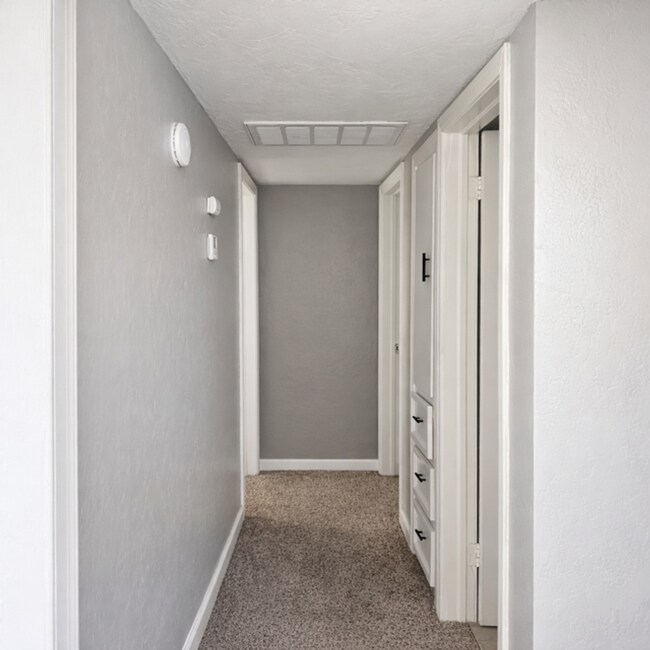 Building Photo - 2612 Belle Ter
