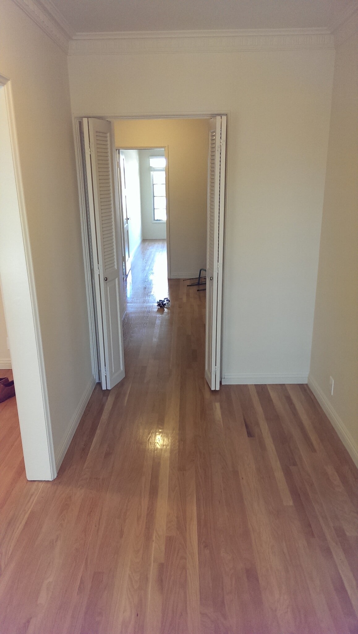 Hallway - 1226 S Longwood Ave