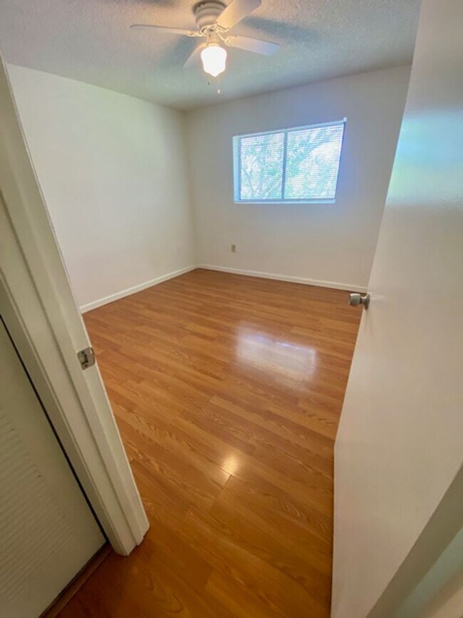 Building Photo - 351 Palm Way