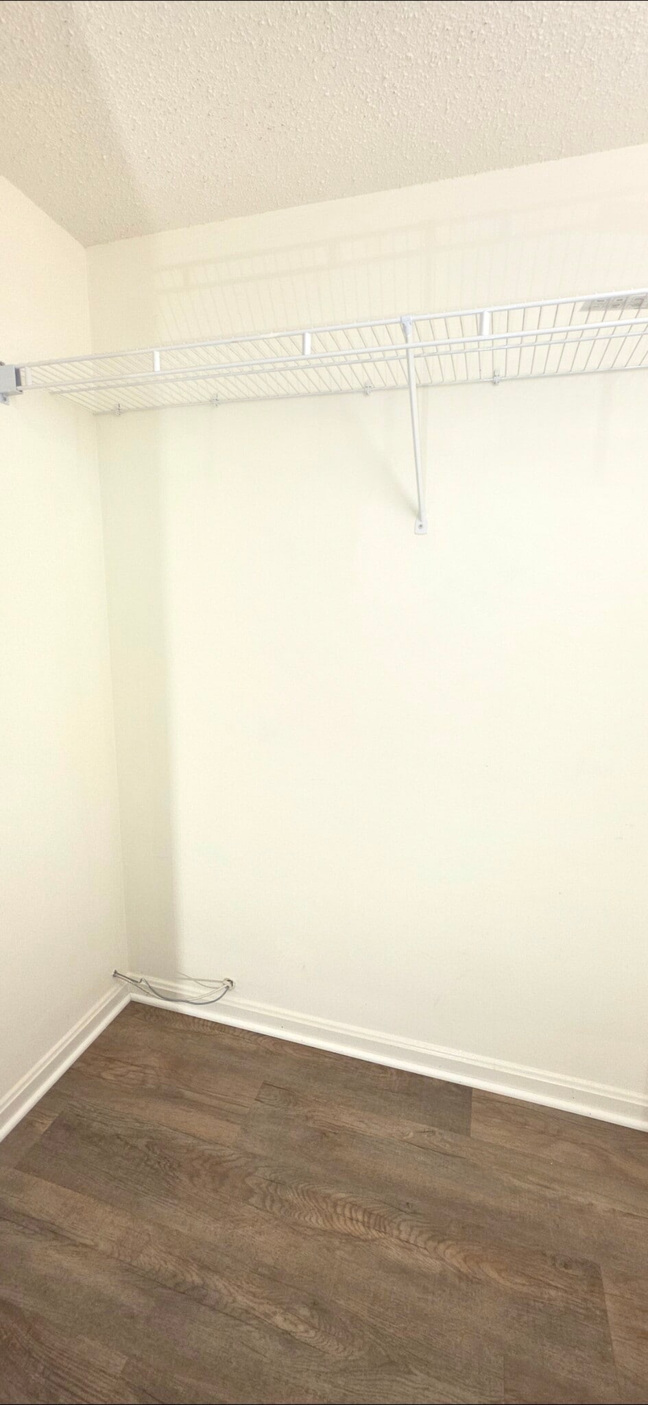2nd Bedroom Walk-In Closet - 3115 Patrick Henry Dr