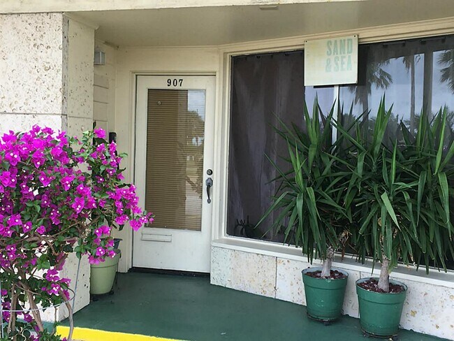 Primary Photo - 909 University Blvd