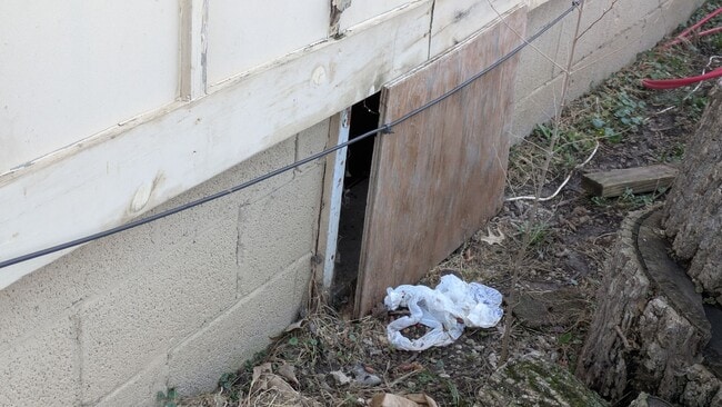 Building Photo - 806 S Saville Ave