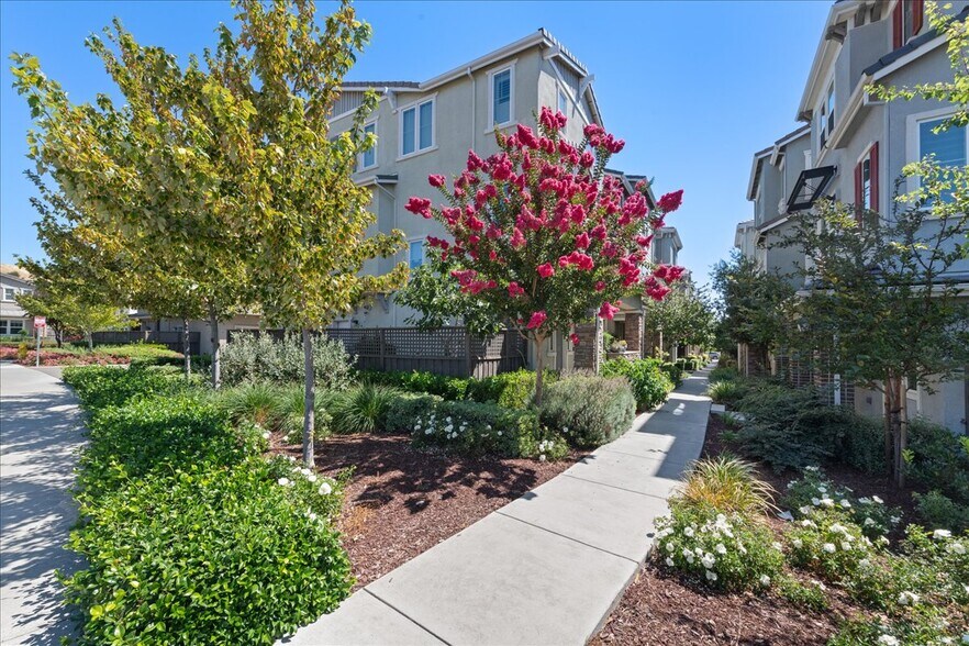Corner home - 2821 Stringham Way