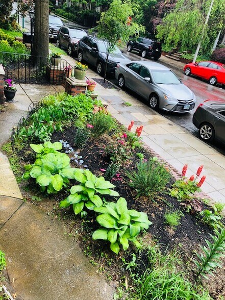 front garden bed - 323 S 46th St