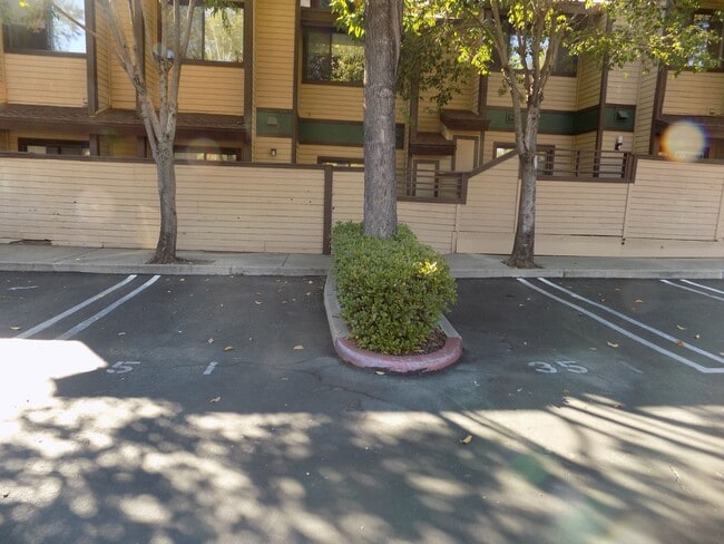 Building Photo - 35 Stenner St