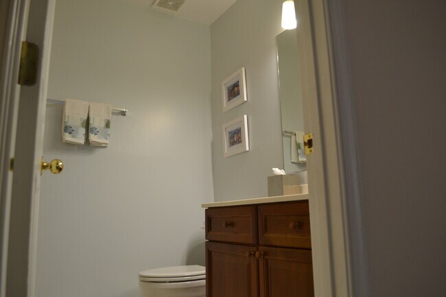 Basement Bathroom - 3163 Grovehurst Pl