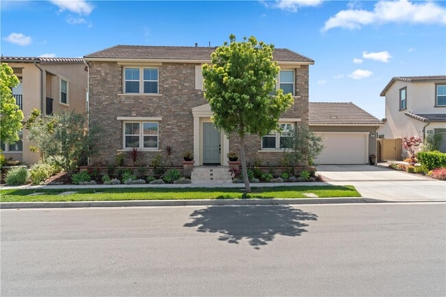 Primary Photo - 109 Sabiosa