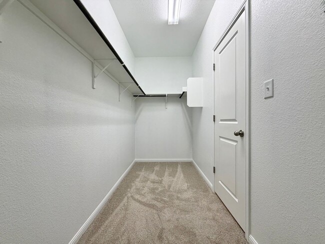 Building Photo - 207 Cherry Blossom Ln