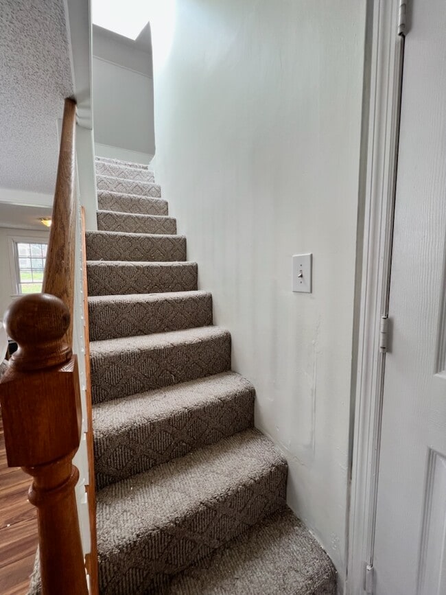 Building Photo - 215 Radnor St