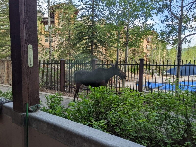 Building Photo - 12082 E Big Cottonwood Cyn Rd