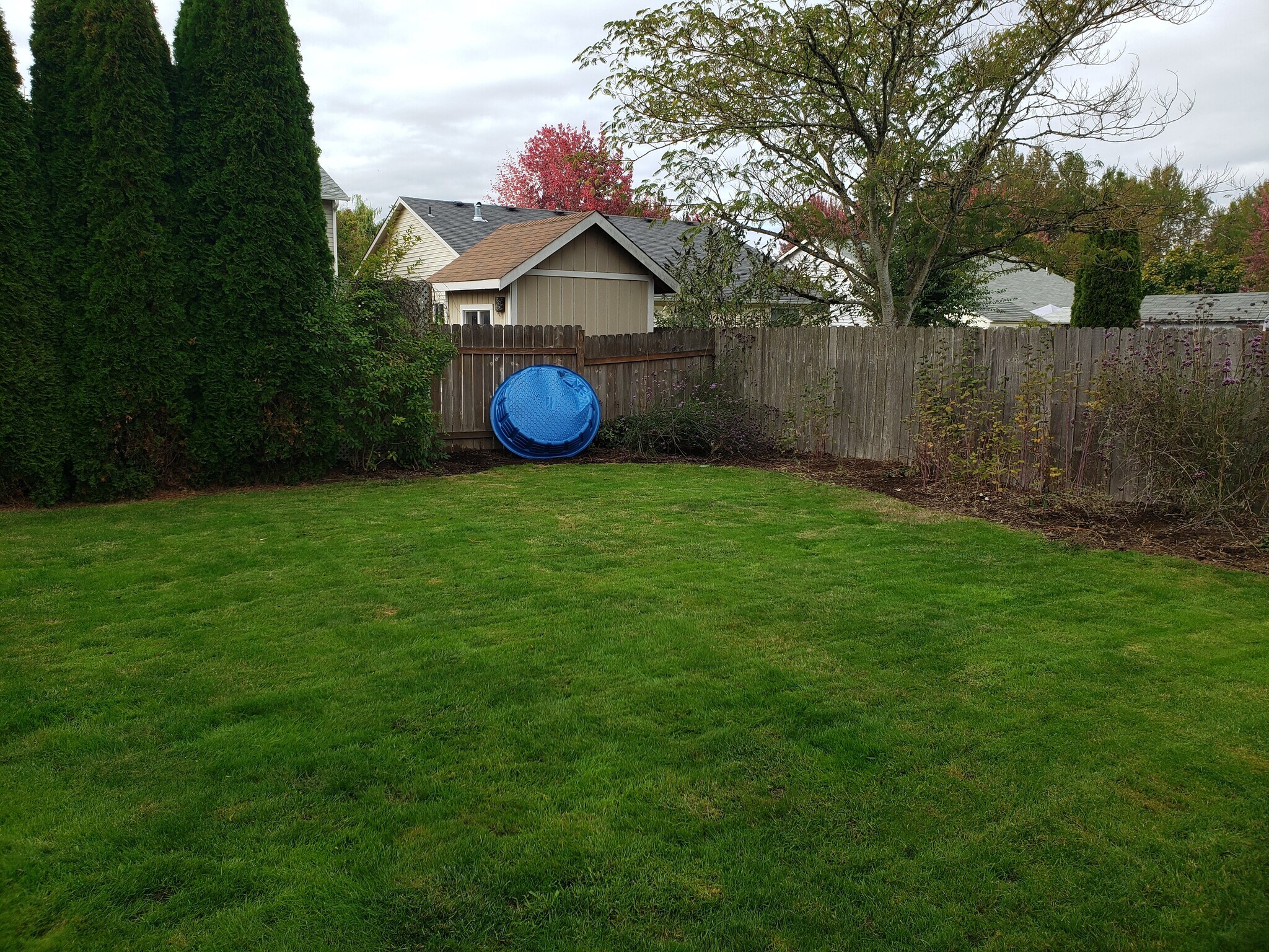 Backyard corner - 770 Hyacinth St