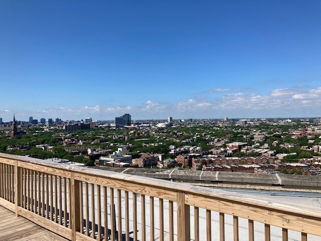 Shared Rooftop - 2000 N Lincoln Park W