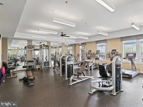 Building Photo - 9704 Glassy Creek Way