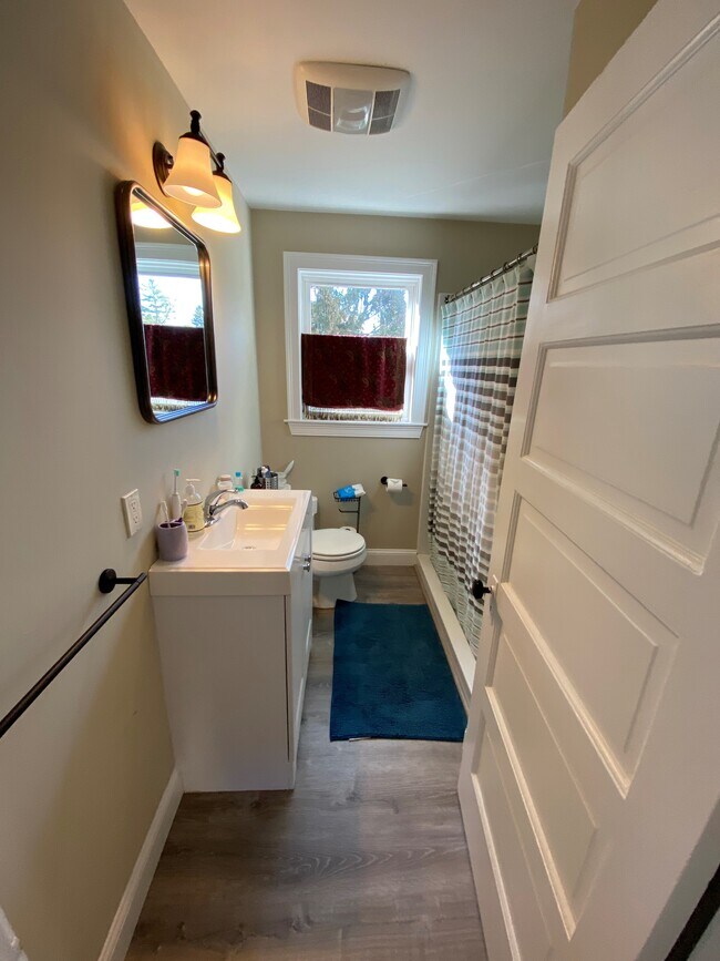 Sexy bathroom - 284 Central St