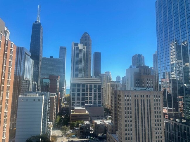 Building Photo - 833 N Clark St