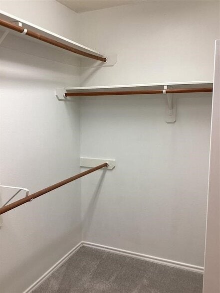 Building Photo - 3151 Palston Bend Ln