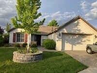 Building Photo - One Level Home in Curti Ranch