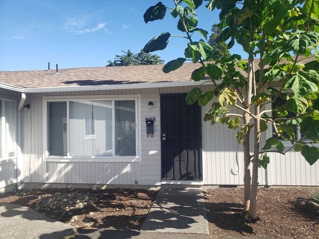 Primary Photo - Updated Four-Plex in SE Portland with Fenc...