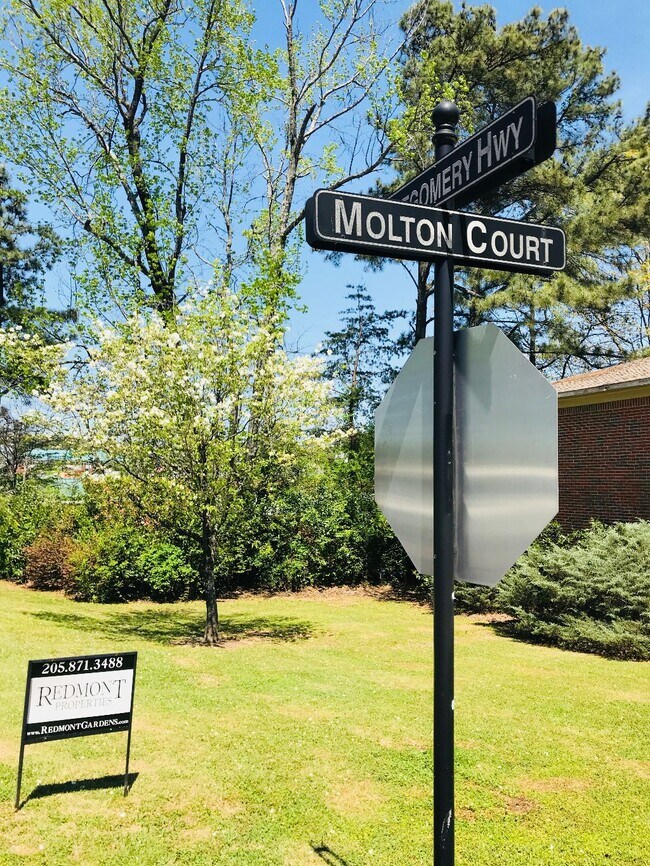 Street - 2008 Molton Ct
