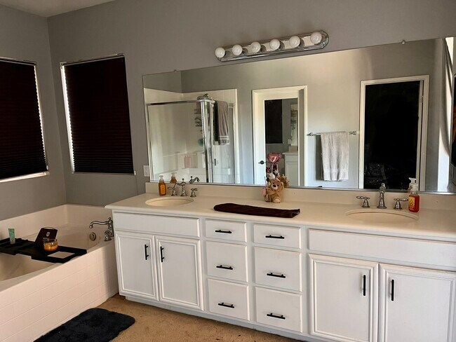 Master Bathroom/Sink - 1552 Shadow Hill Trl