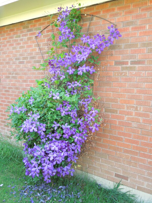 Building Photo - 1418 W Koch St