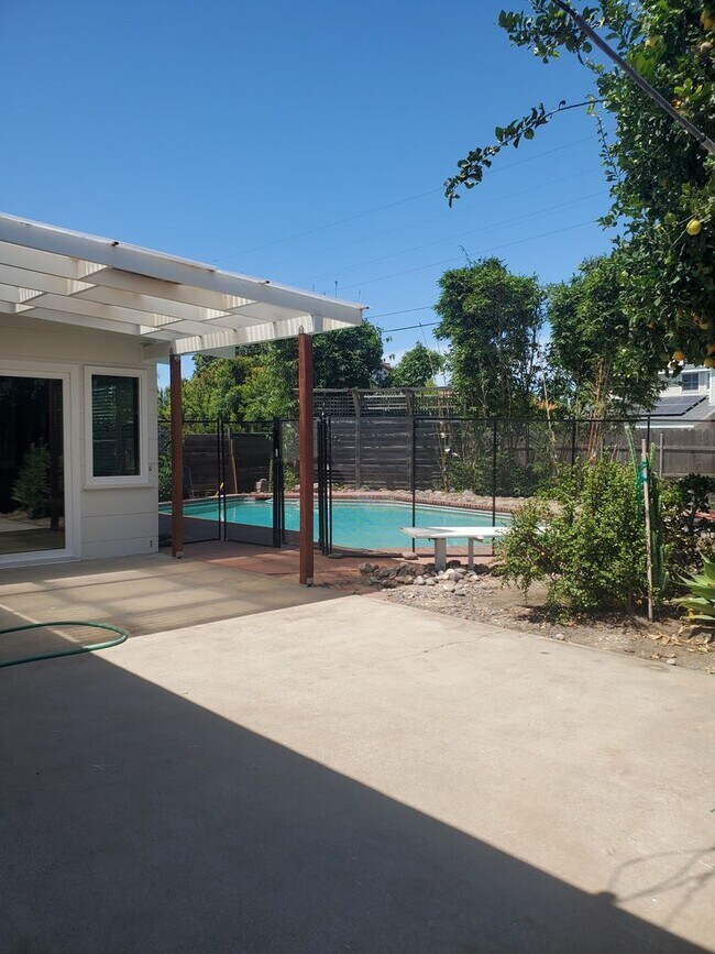 Building Photo - Recently Upgraded and Refreshed House with Pool and Casita