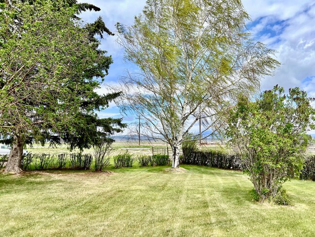 Building Photo - Pet Friendly 2 Bed 2 Bath Single Family Home With Garage, Private Deck and Big Yard!