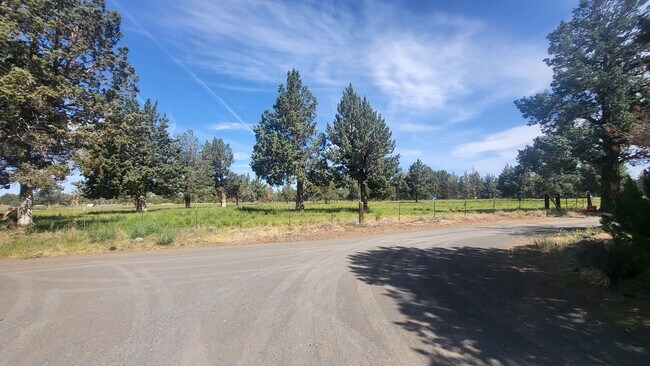 Building Photo - 4 bedroom 3 bath horse property- 6 acres i...