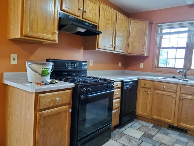 Building Photo - Elliot Park Minneapolis, Stand Alone House, Updated and Eco-friendly