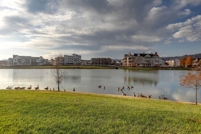 Building Photo - Stunning 4BE/3.5BA home in the very desirable neighborhood, Westhaven!