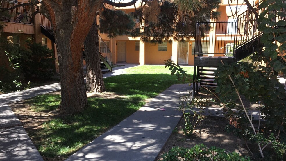 Interior Photo - Pine Park Apartments